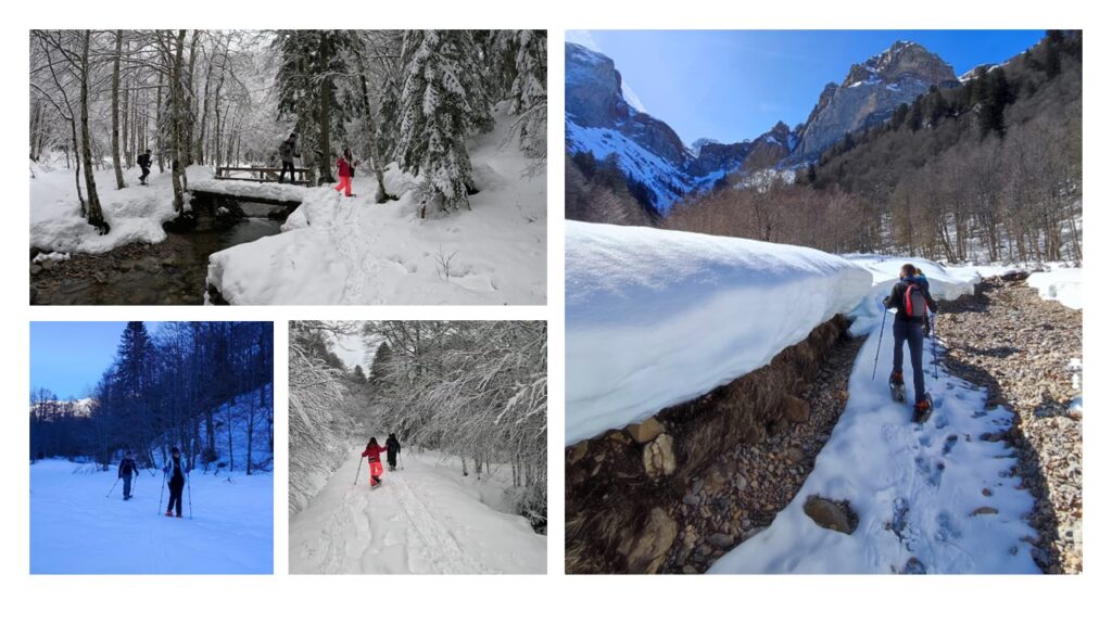 En la imagen se pueden apreciar distintas puntos de interés en una excursión con raquetas de Nieve en el bosque de Sansanet